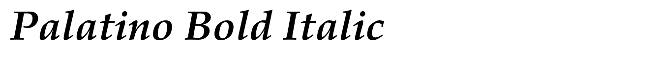 Palatino Bold Italic